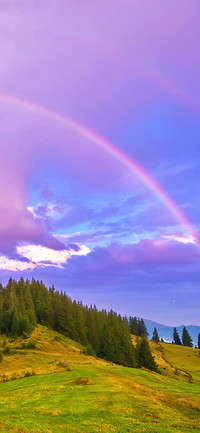 Lucky rainbow-PAIXIN