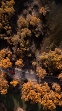 Aerial view of Poplar Forest from high altitude