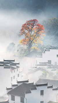 寻找最美秋天：婺源
