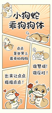 小狗蛇乖狗狗体