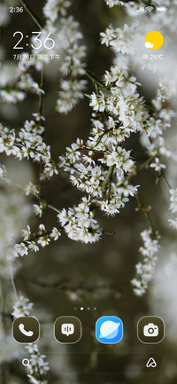 Tree Blossoms