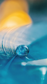 Under the macro lens