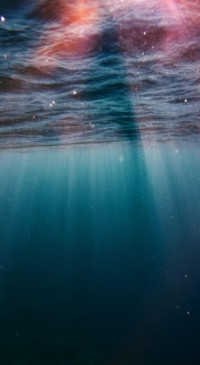 Marine (33)