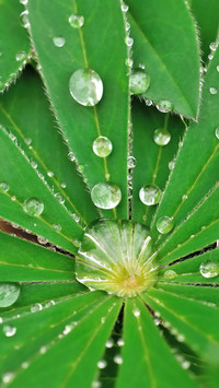 Good rain knows the season