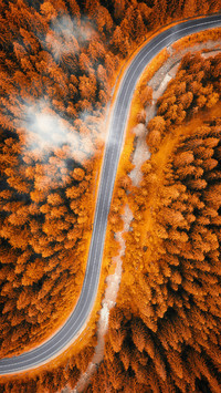 Aerial Photography of The Road Through The Forest