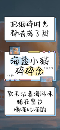 海盐小猫碎碎念