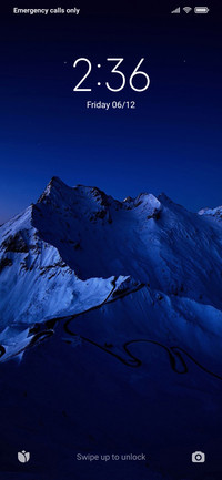 Night Sky 