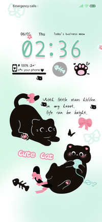 Chocolate cat