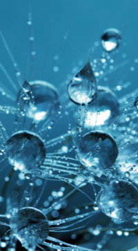 Droplets (31)