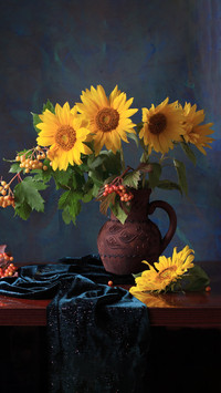 Sunflowers can really be raised in yang09