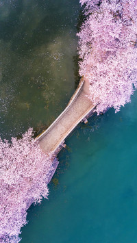 No1 Scenic Spot of Taihu Lake 0