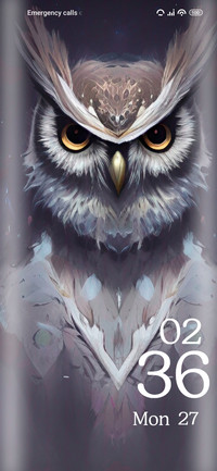 Owl