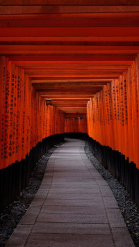 鸟居步道