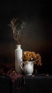 Modern still life with dried hydrangea in a vase
