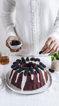 Delicious Dessert Red Velvet Cake 6