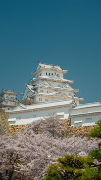Jilu Castle and Blooming Cherry Blossoms in Jilu City