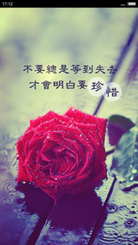 红色玫瑰