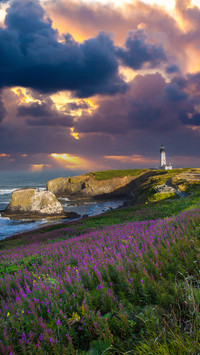 Yaquina Head Lighthouse
