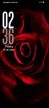 Rose and Black