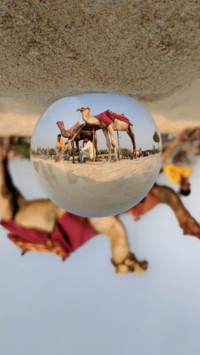 Mahalingam (7)