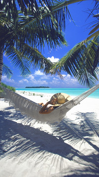 Which island tour are you best suited to 39