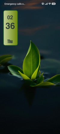 Pop Green