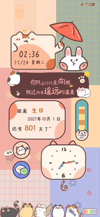 可爱小猫咪