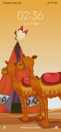 Camel_3MDS