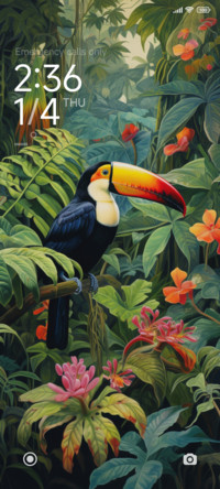 rainforest toucan