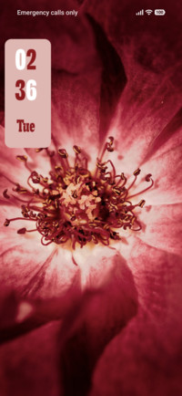 Red Flower