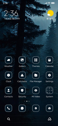 Forest Night