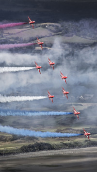 Aerial Predators (1)