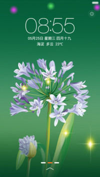 雨天鲜花开【动态锁屏】
