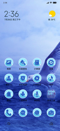 Seagulls_3MDS