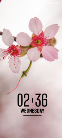 Pink Bloom