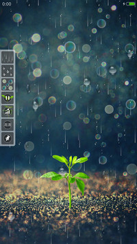 雨季