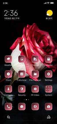 Rose Petals