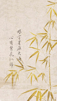 心如何装下诗意