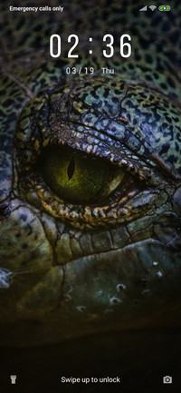 Alligator Eye_3MDS