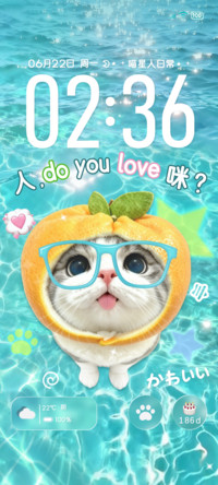 清凉夏日水波纹小猫