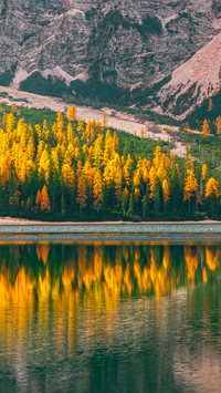 Lake in autumn