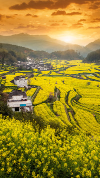 别样婺源