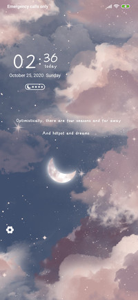 Starry Sky