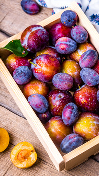 Fruit (4)