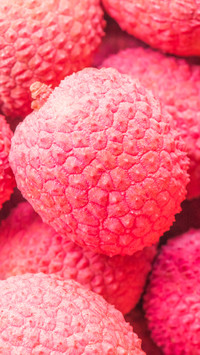 Fruit (10)