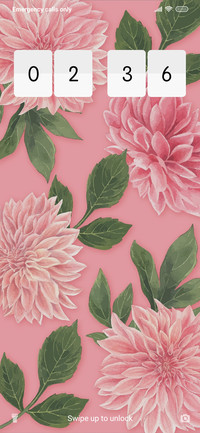 Dahlia_3MDP