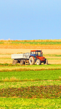 Beautiful view of the farmland