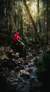 Hiking  (8)