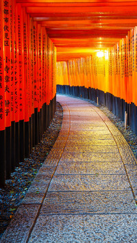 慢行京都