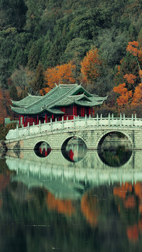 桥上风景